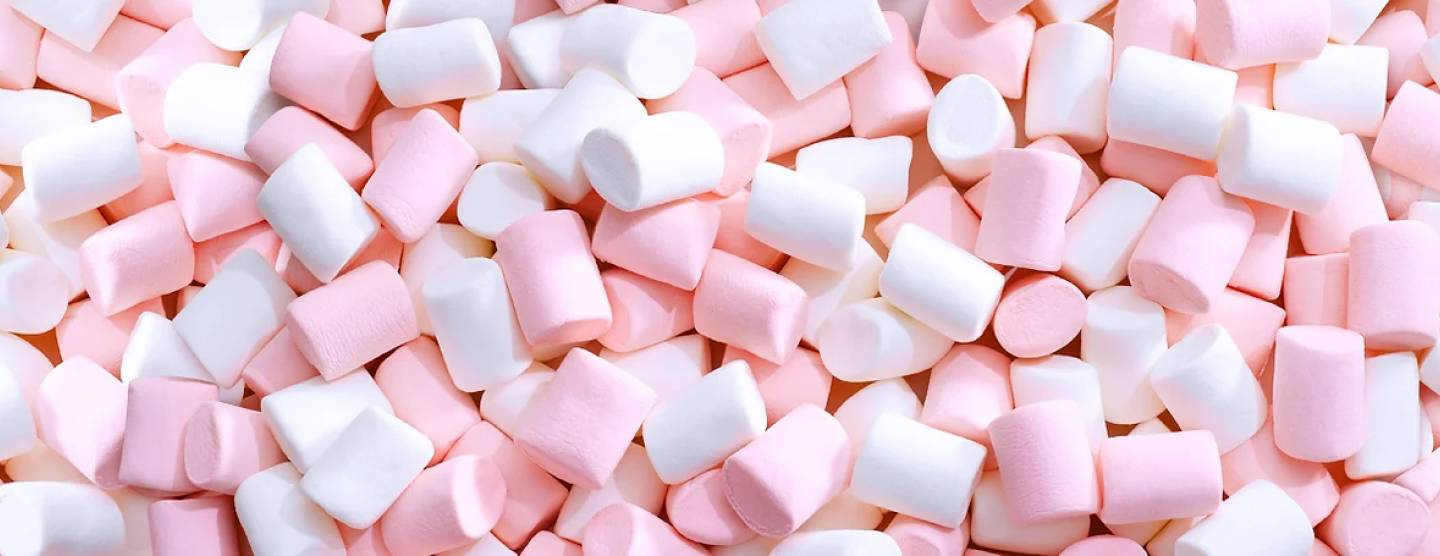 Image alt section about